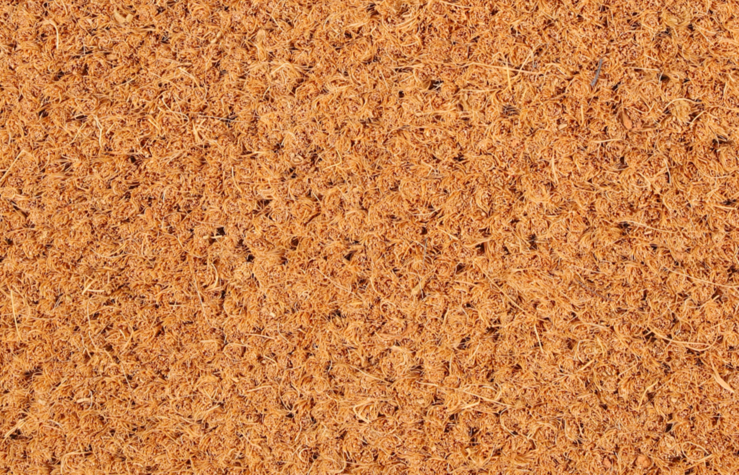 ARUBA 18 - Tapis brosse coco