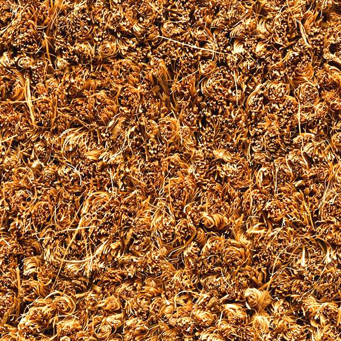 ARUBA 30 - Tapis brosse coco