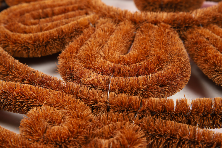 ALI QAPU - Tapis de propreté, coloris ROUGE